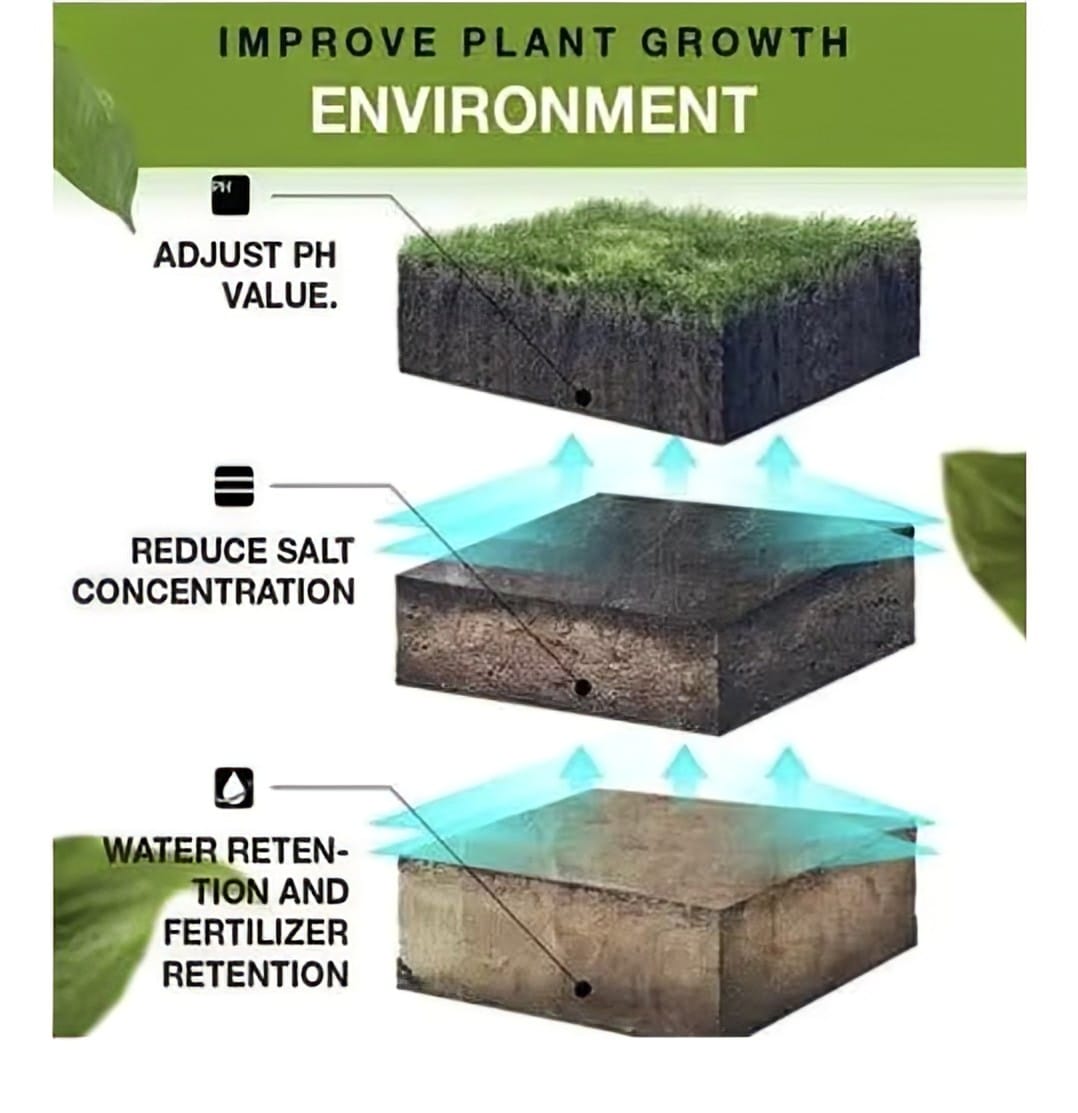 Soil Activated Treasure Premium Soil Activator 200gram (Pack of 2)